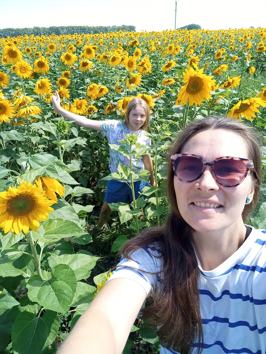 Подсолнухи 