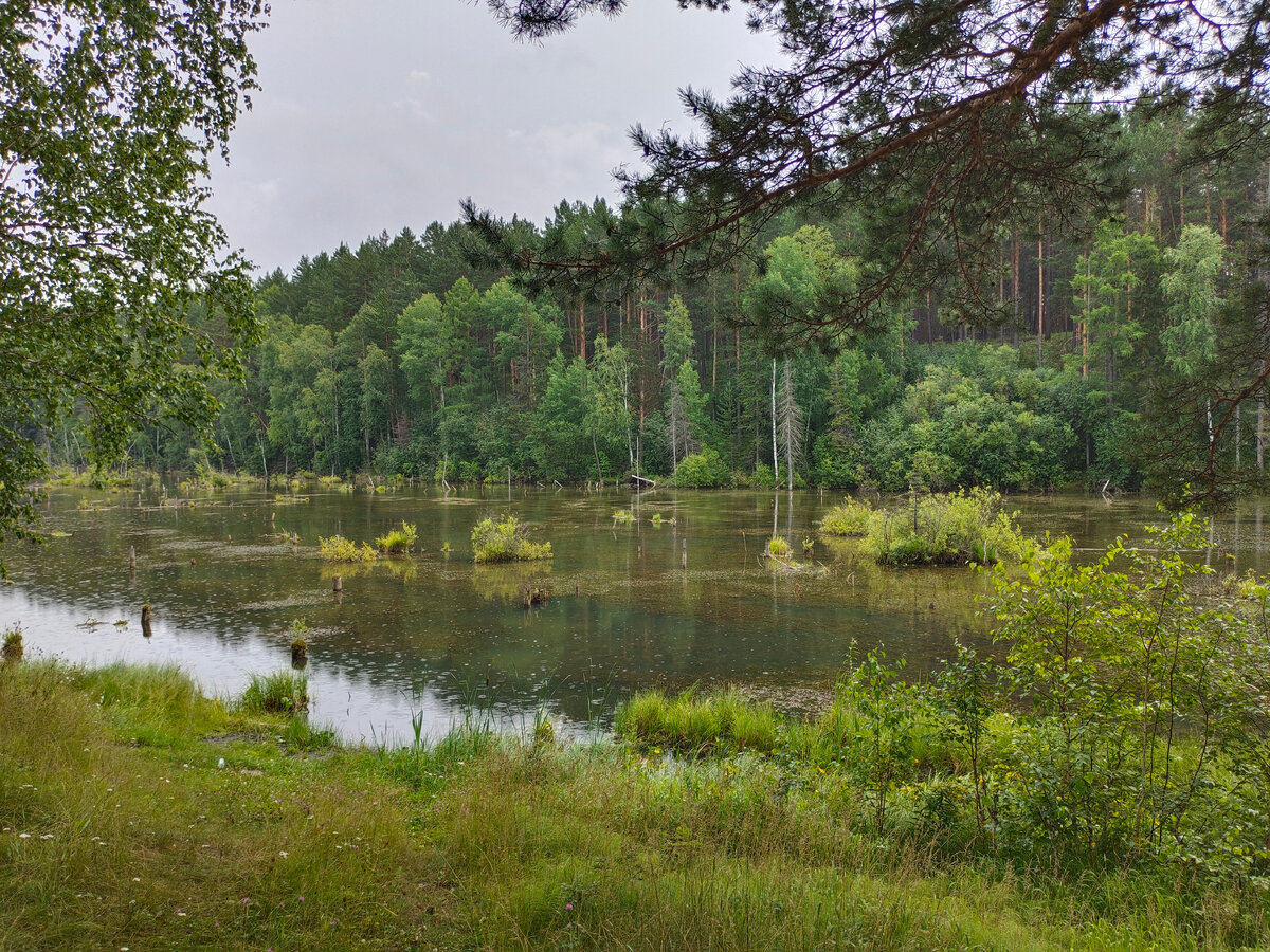 На реке Шумиха 