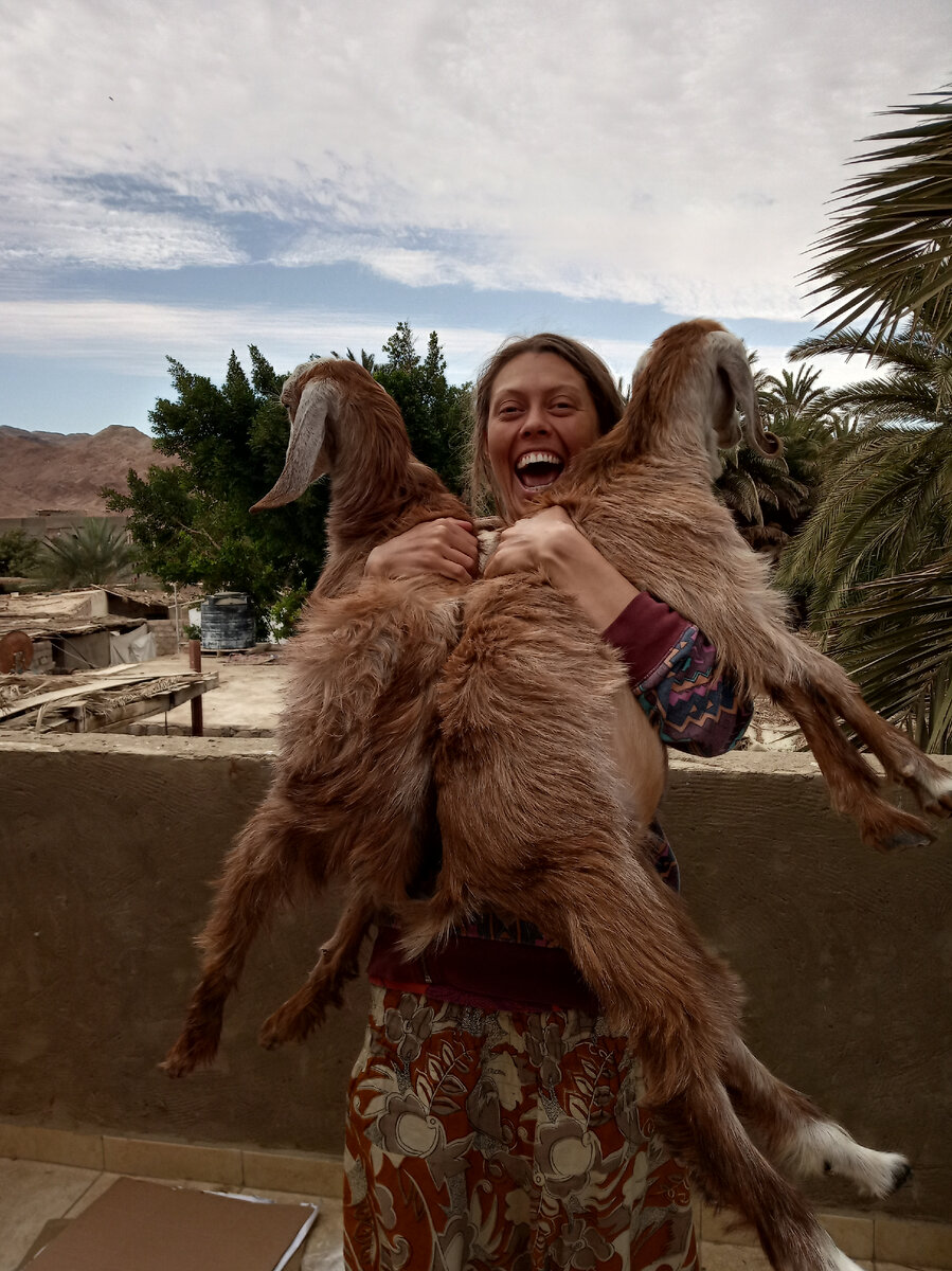 Две подруги забрели на огонёк