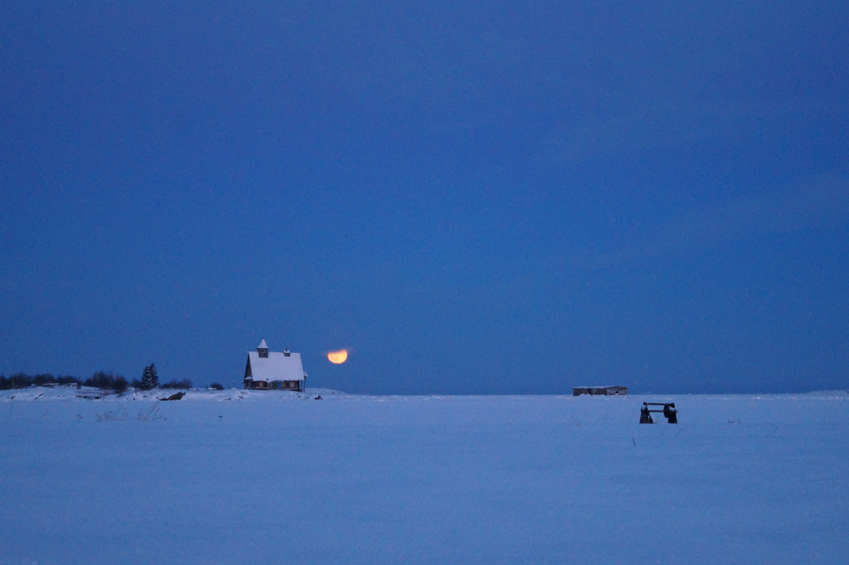 Фото: Надежда Дроздова