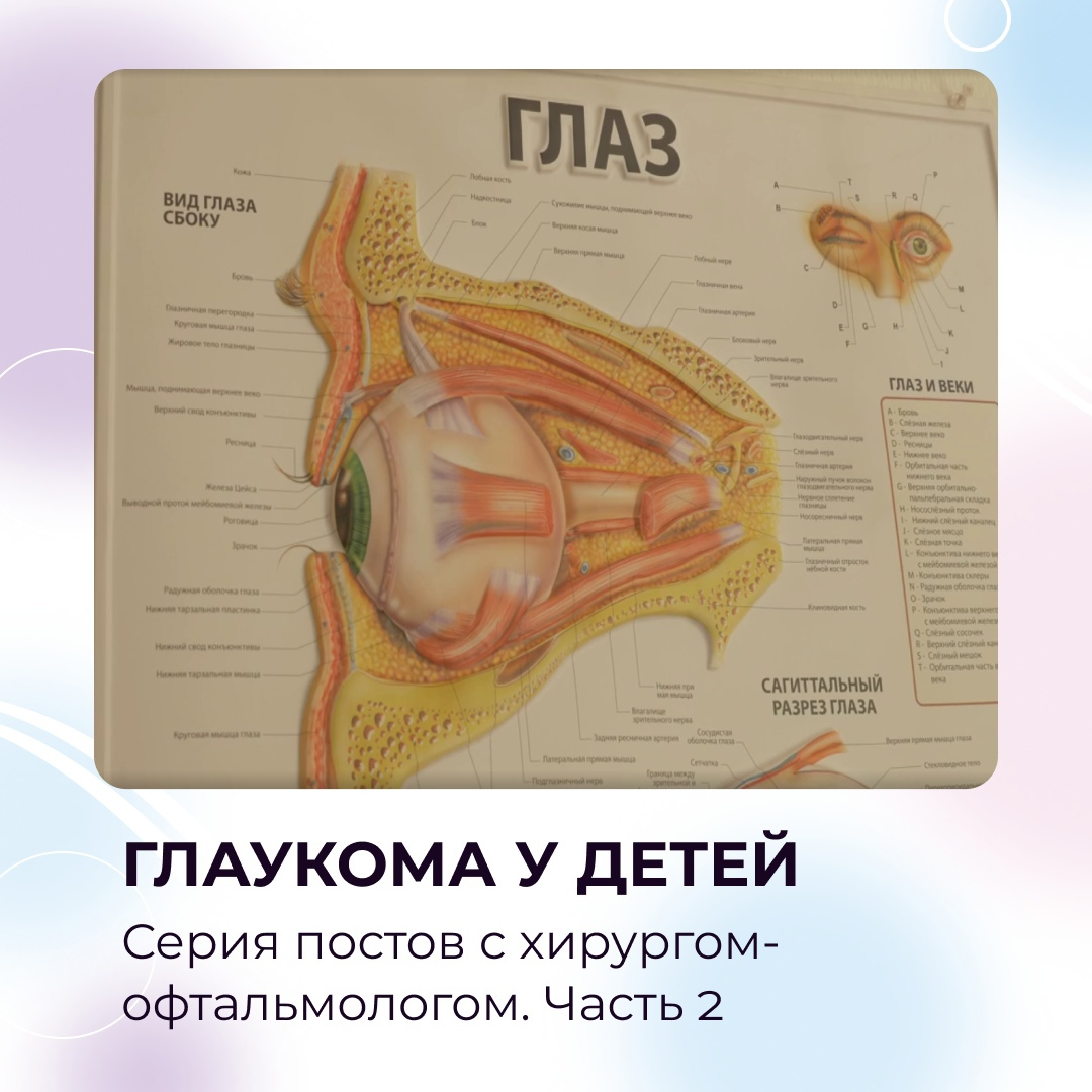 Заболевания вульвы