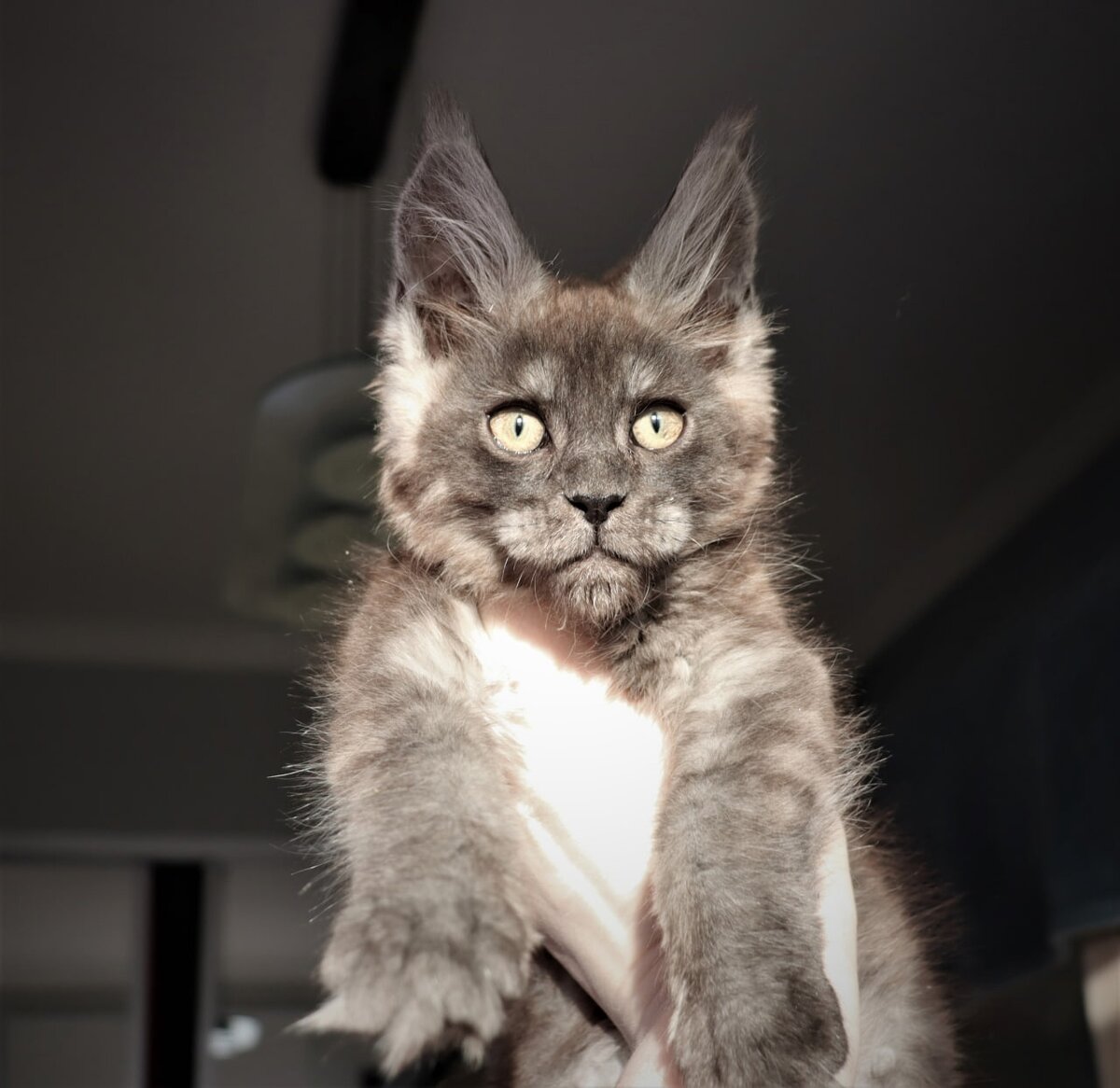 Фото из личного архива.