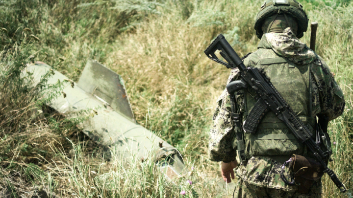 TSITSAGI NIKITA/NEWS.RU/GLOBALLOOKPRESS 