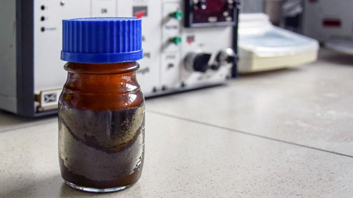    Фото: Анна Урманцева Август Макаров