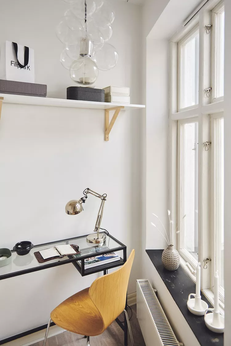 Фото: Фантастический Фрэнк