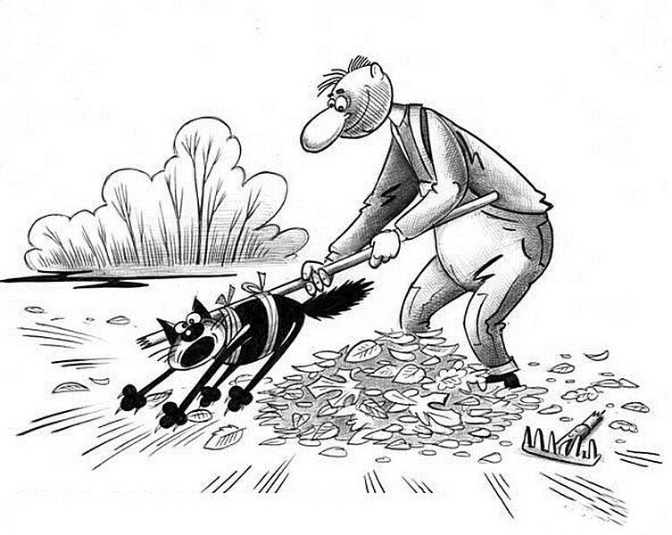 Автор карикатуры Сергей Корсун