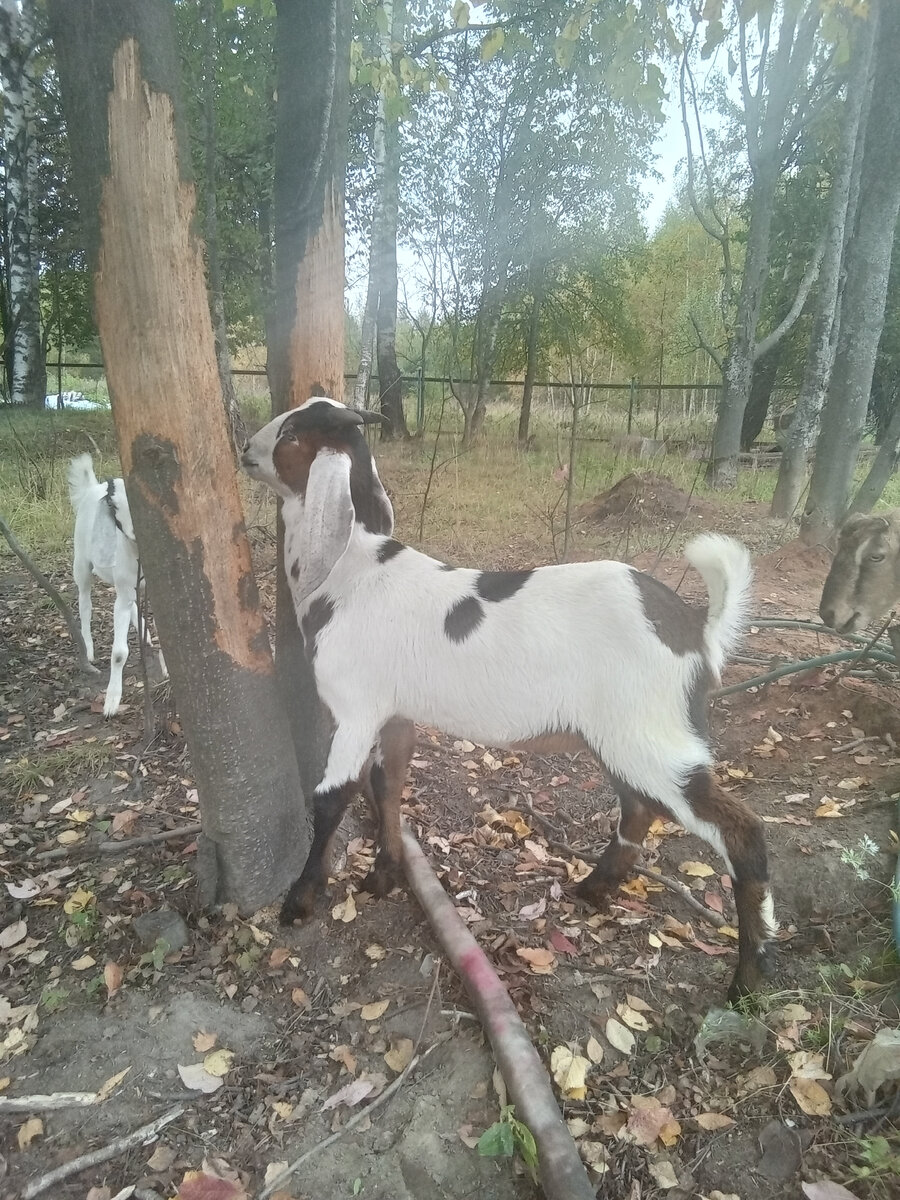 Фото автора. 