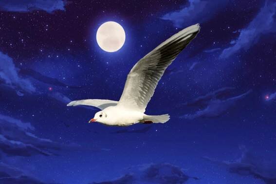 Женский сонник