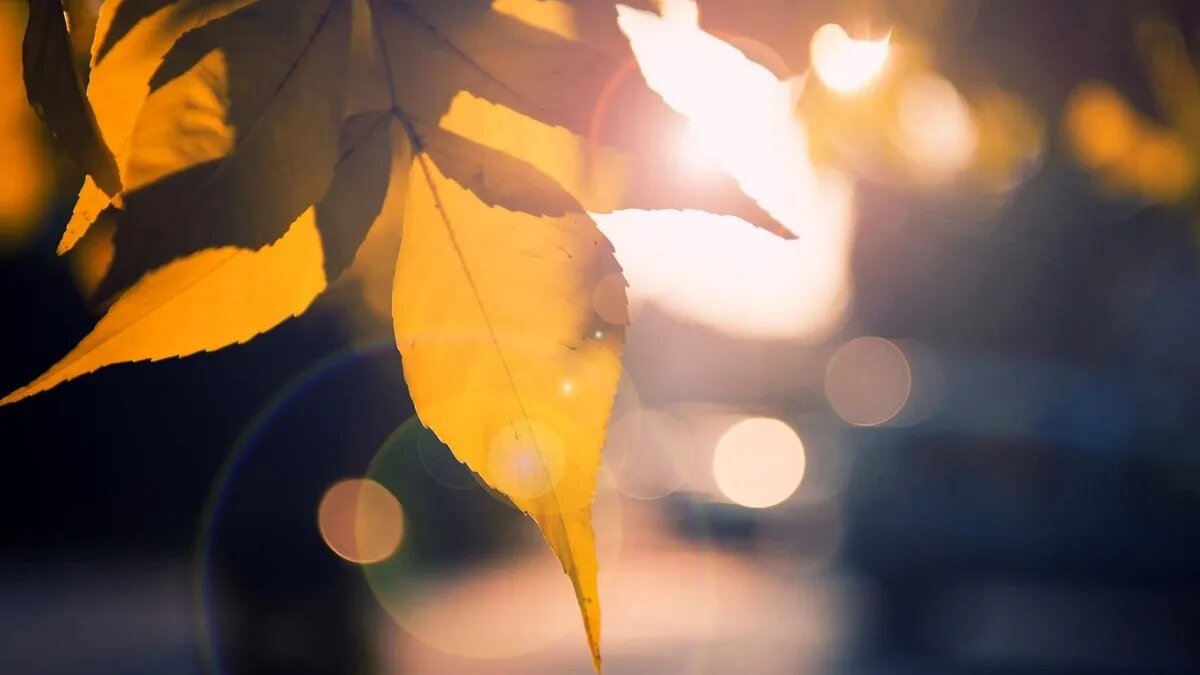 Хаотичные геоудары обычно бьют со всей силы. Фото: pxhere.com