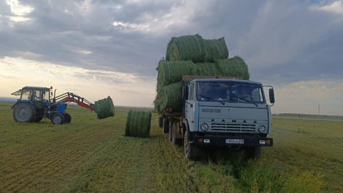    Фото: акимат Абайской области. Анатолий Пак