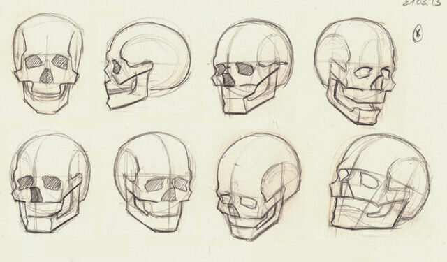 Показываю, как нарисовать череп в трех ракурсах поэтапно. | Мастерская художника | Дзен