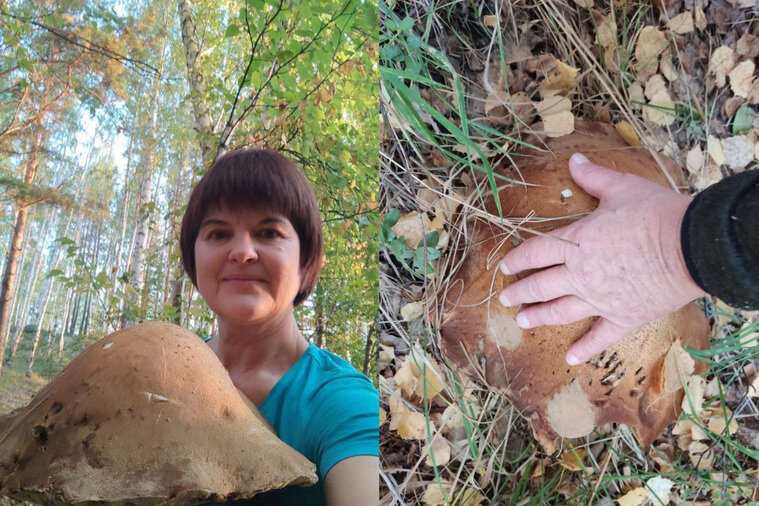    Свердловчанка сделала с грибом много фото