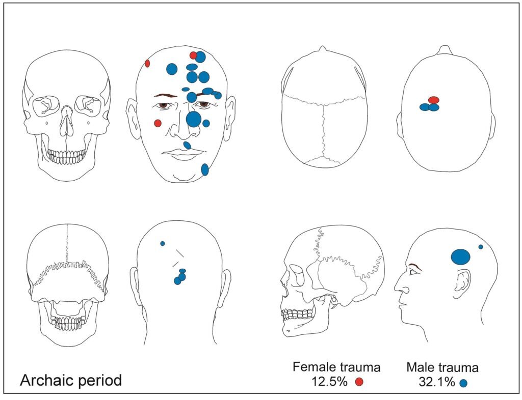    Места повреждений на черепах жителей Атакамы в архаичный период / © Standen et al., 2023