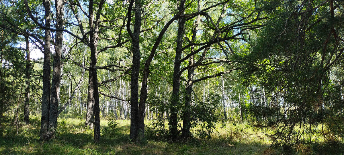 Фото автора канала