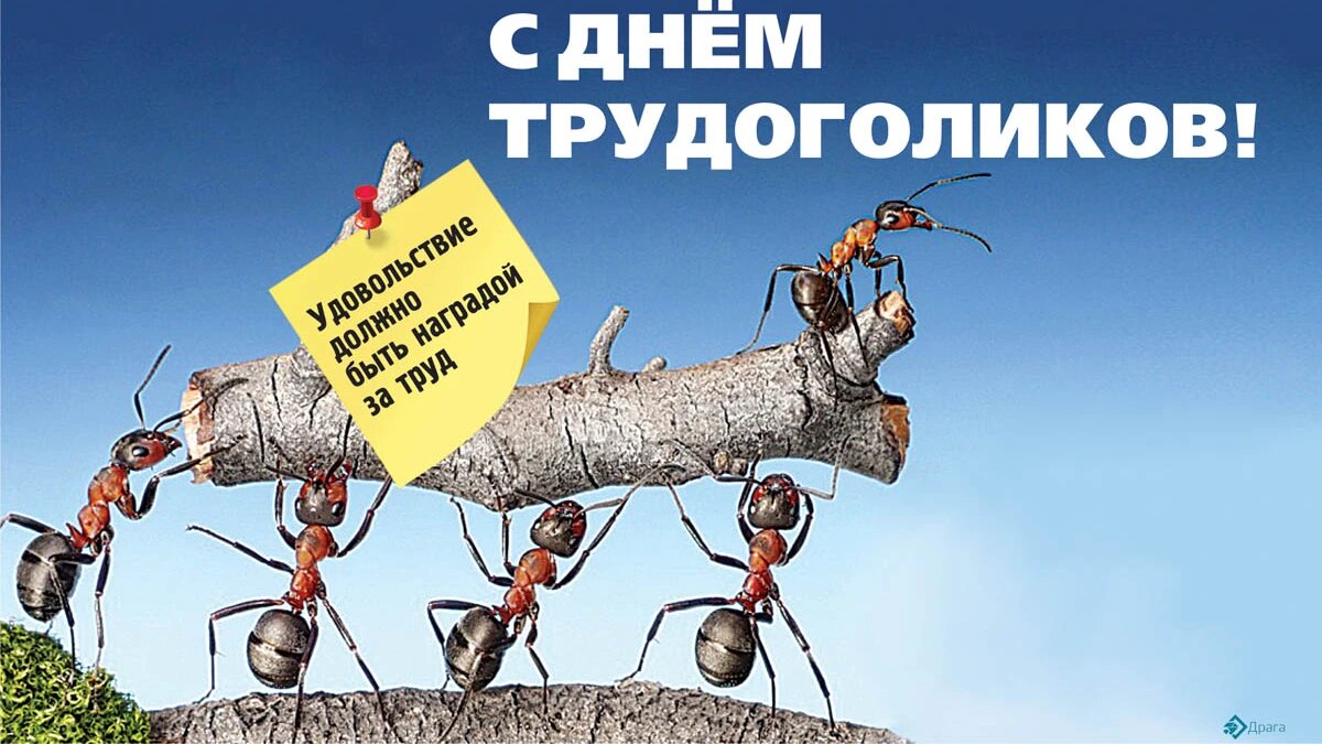 Трудяга синоним. День трудоголика. Международный день трудоголиков 5 июля. День трудоголика 2021. День трудоголика 5 июля праздник.