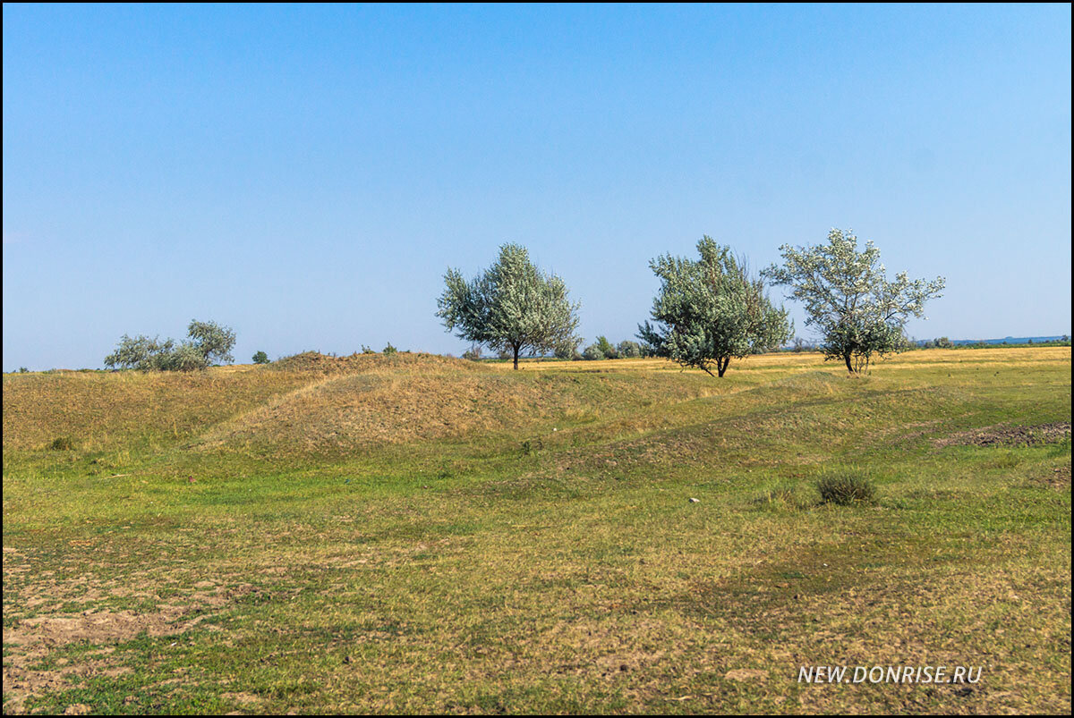 Деревца хоть как-то украшают эти пространства...