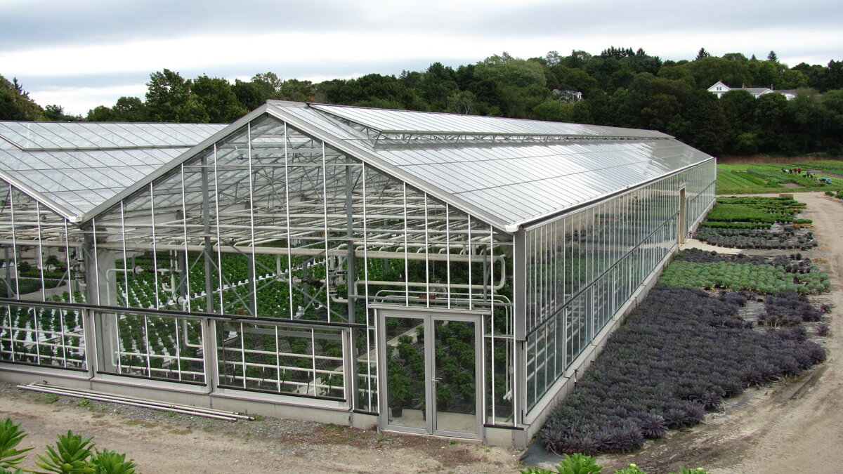     На реконструкцию улицы в Подкумке из бюджета выделят 190 млн рублей, следует из материалов закупки.