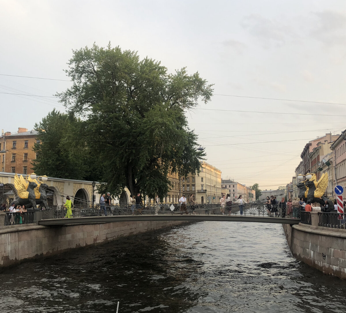 мосты канал грибоедова в петербурге
