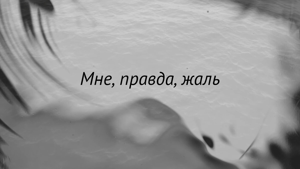 Стелла Фракта «Безымянная скрипка». Цитата. Кадр из буктрейлера