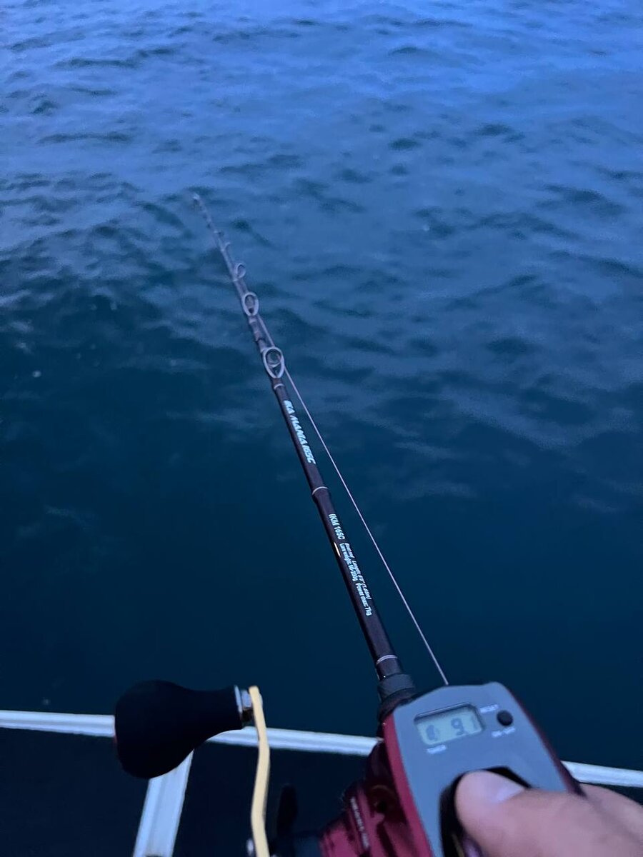 Ловля кальмара с борта