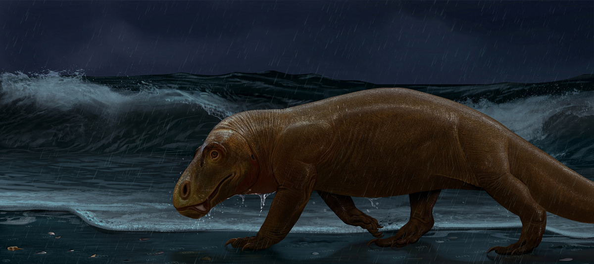 Брат съел брата. Так за основу жизни в Пермском периоде взято...