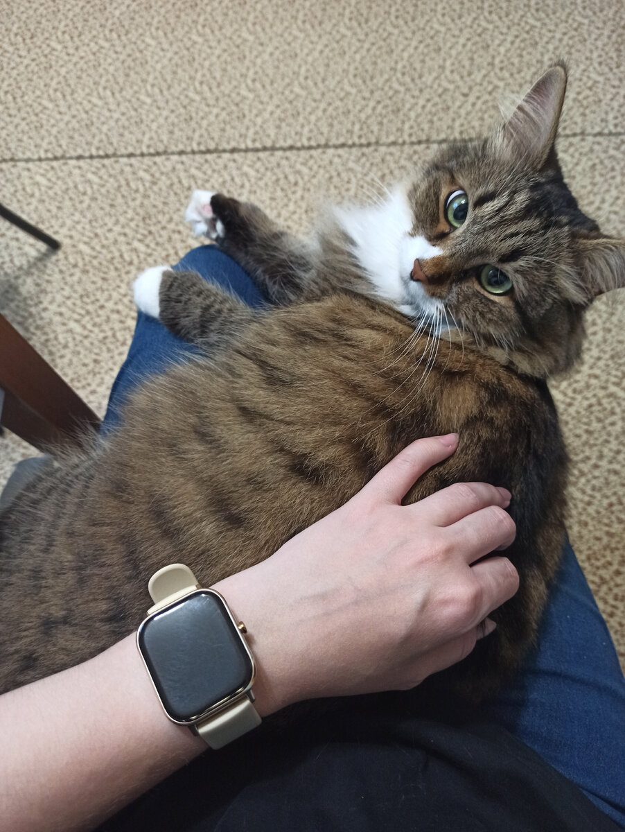 Пушистое чудо