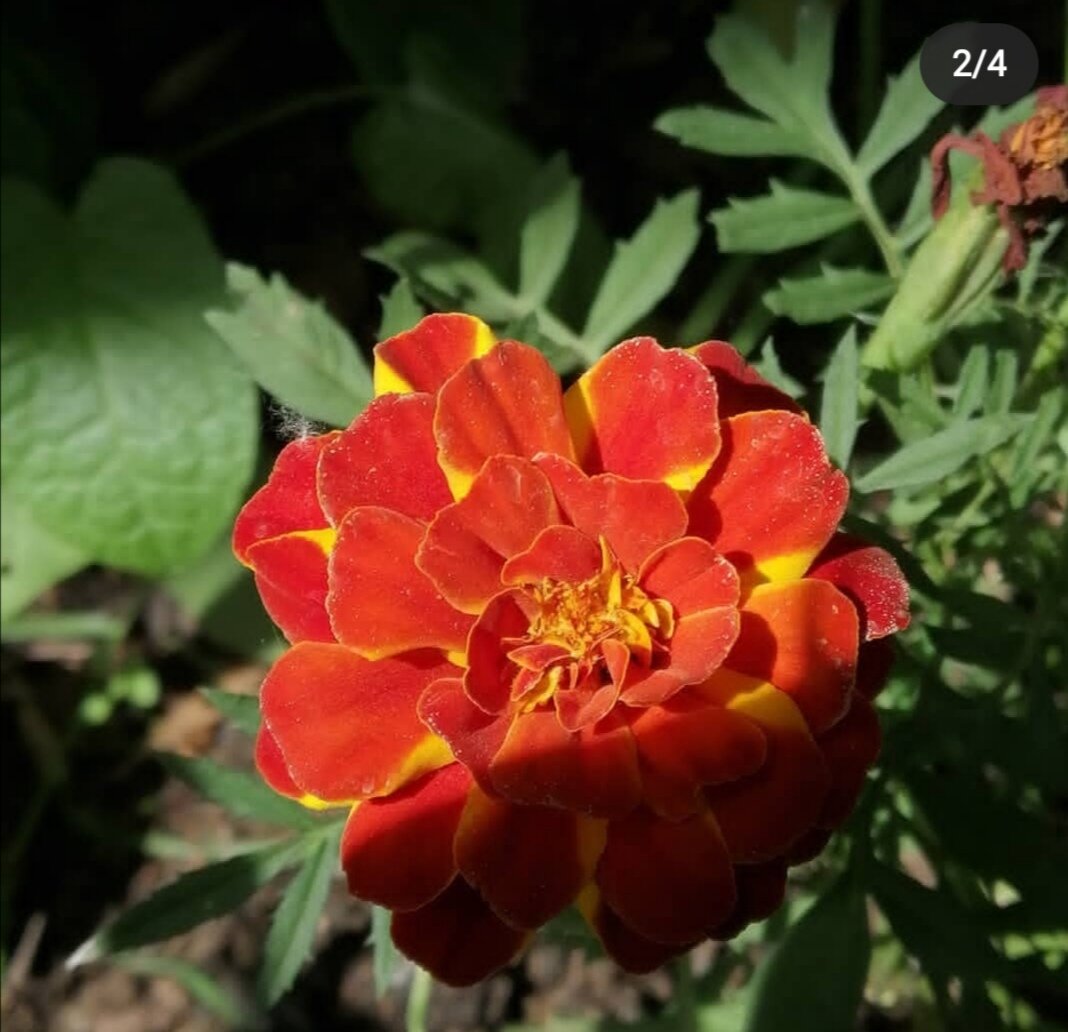 Фото из личного архива 