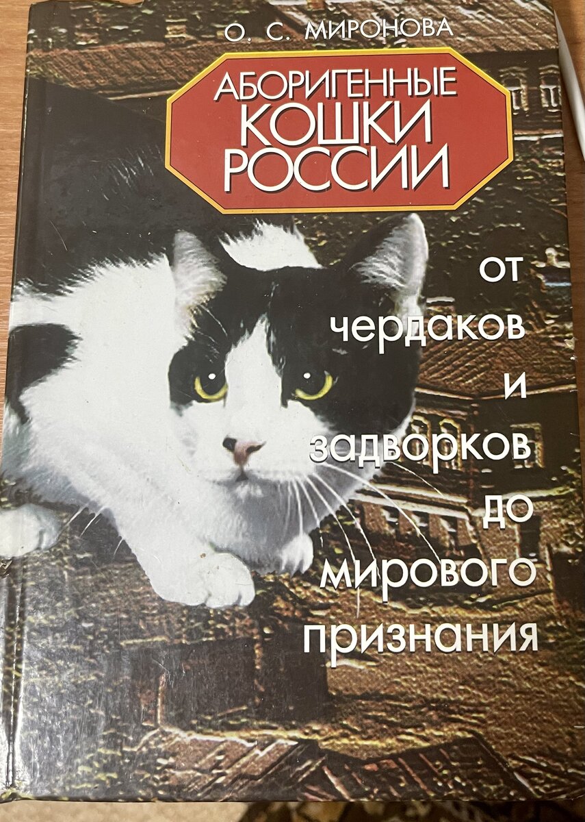 На обложке кошка моего разведения Дива Александер-Фред, курильский бобтейл