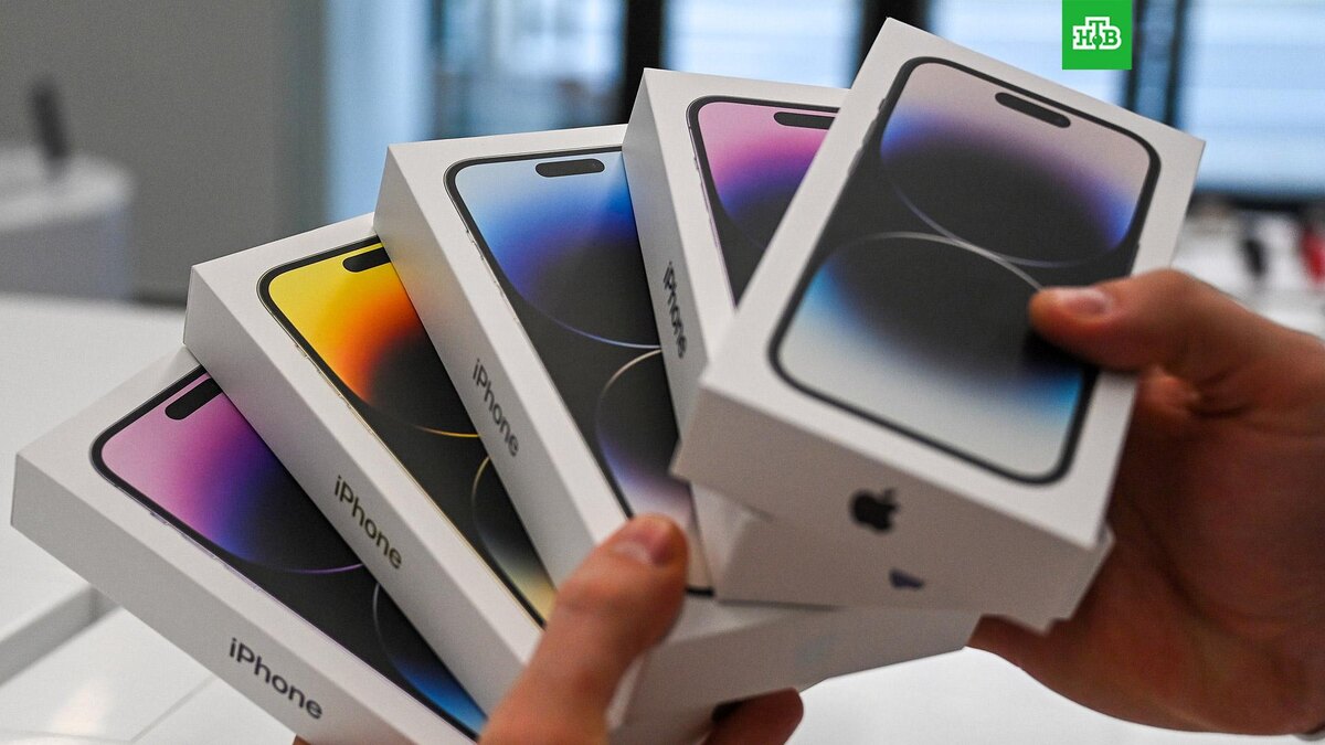    Фото: РИА Новости © 2023, Евгений Одиноков