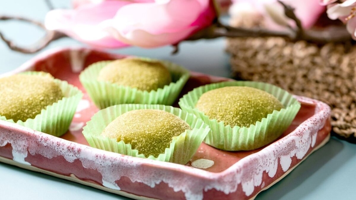   Natasha Breen/Shutterstock.com