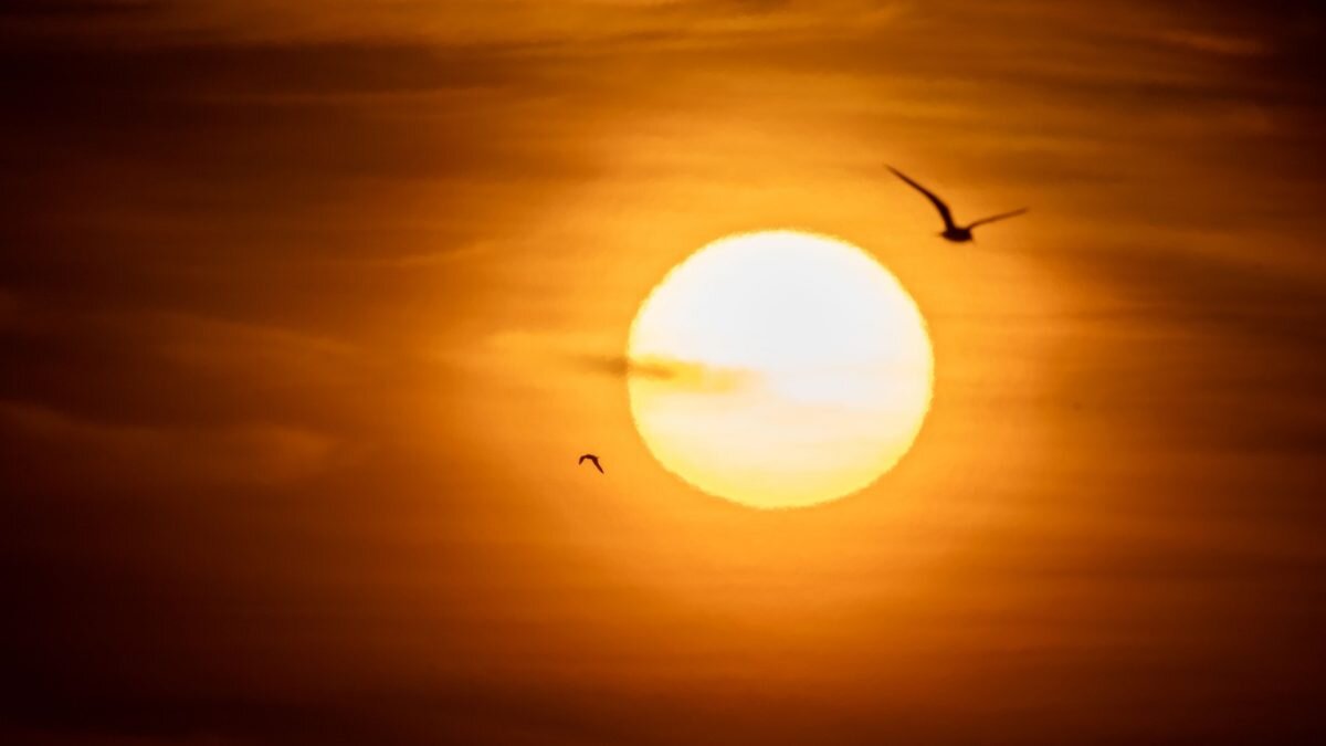    Фото: Unsplash Август Макаров