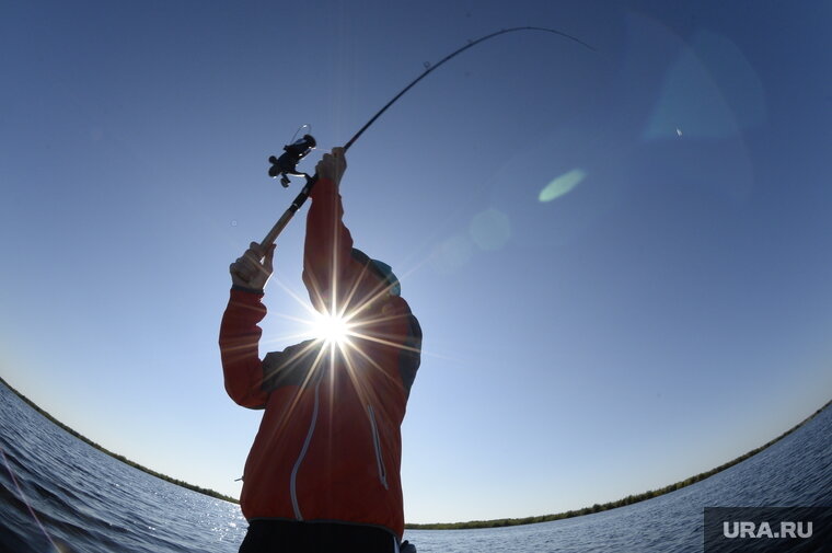    Все выловленные карпы были отпущены обратно в озеро