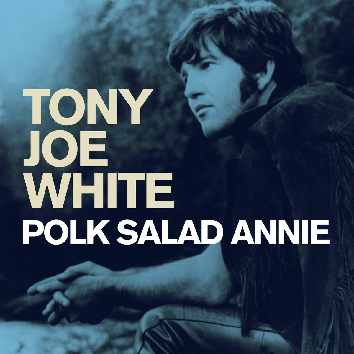 Песня настроения на сегодня. Tony Joe White. «Polk Salad Annie» | Приют  отъявленного меломана | Дзен