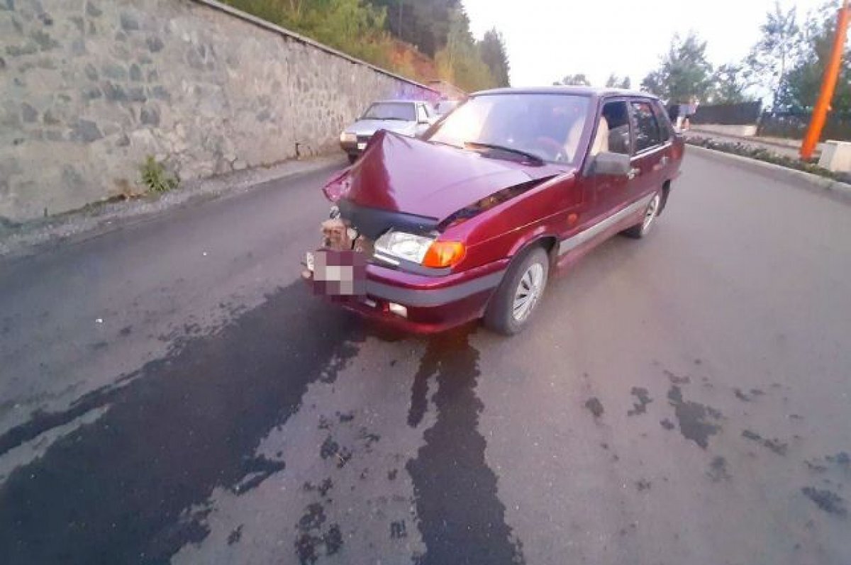    Пожизненно лишенный права управления водитель устроил ДТП на Урале