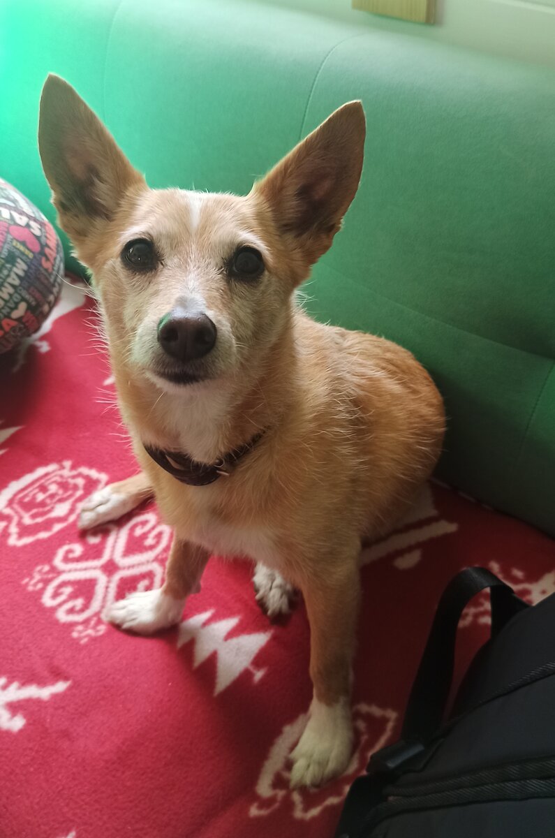 Фото автора