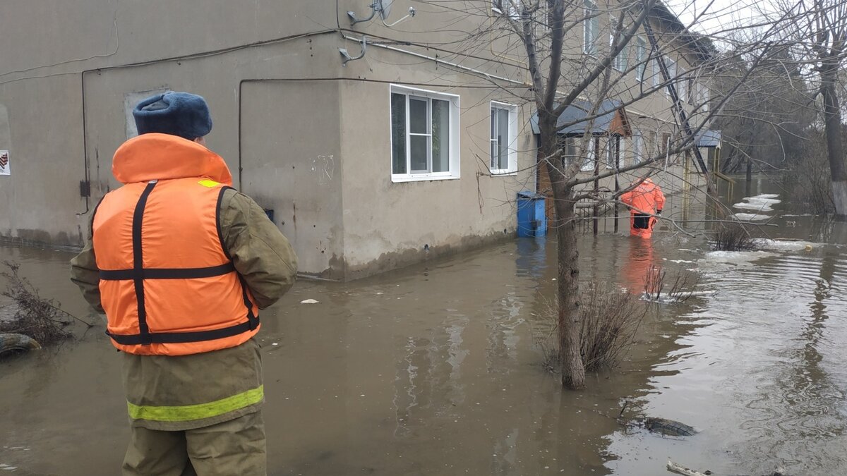     В Ростовской области действует штормовое предупреждение из-за неблагоприятной погоды, сообщили в региональном УМЧС.