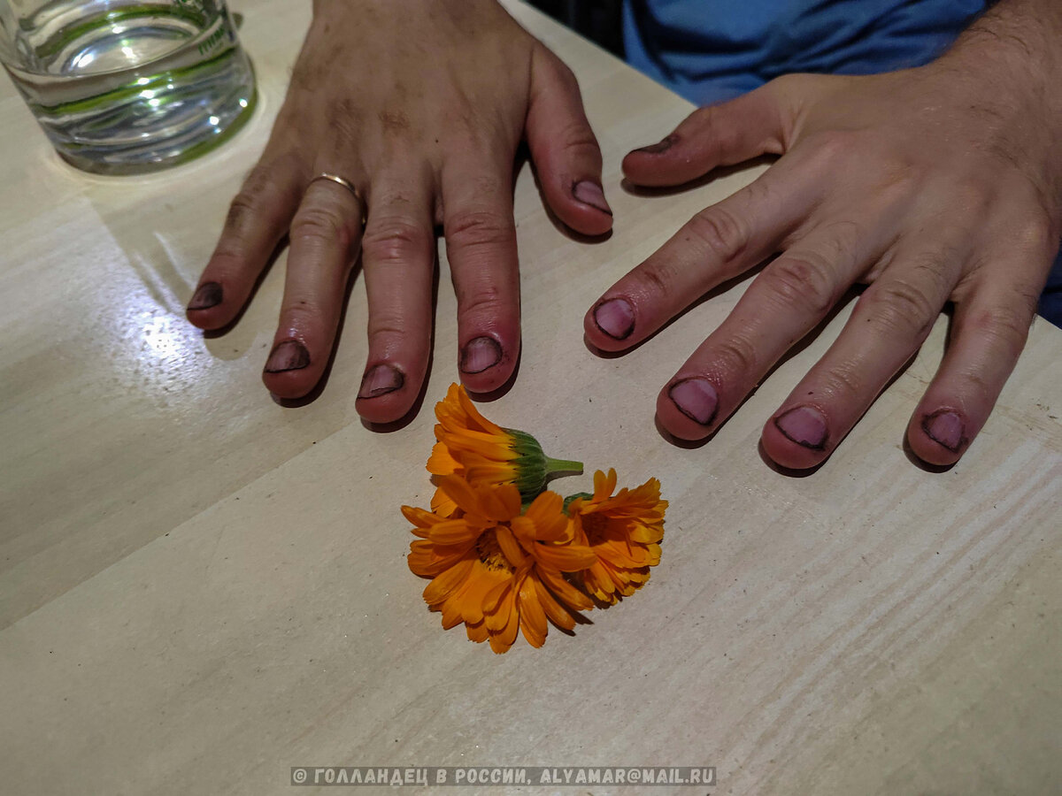 Дачные руки.