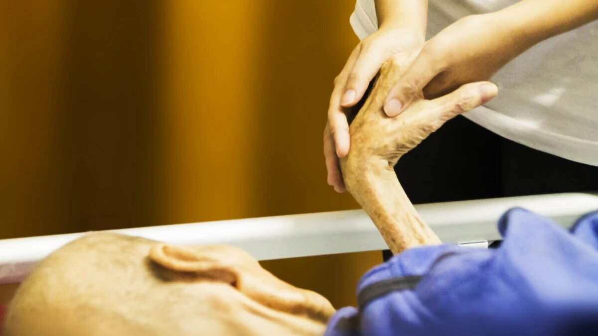 Иллюстративное фото. Фото: pxhere.com