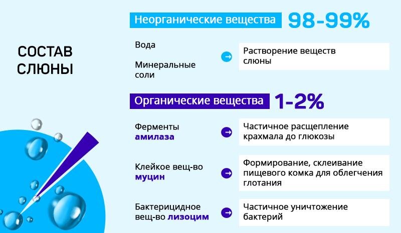 Гиперсаливация или повышенная выработка слюны