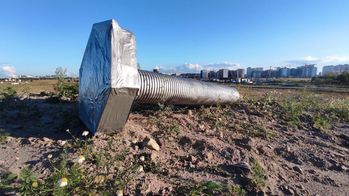 Фото: «Шумные Шушары» «ВКонтакте» 