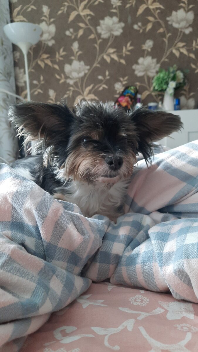 Это конечно в хорошие мишины времена))) в кровати)))