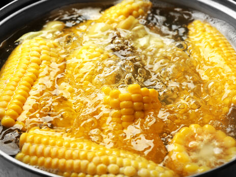 Чтобы кукуруза получилась вкусной, необходимо выбирать свежие молодые кочаны 