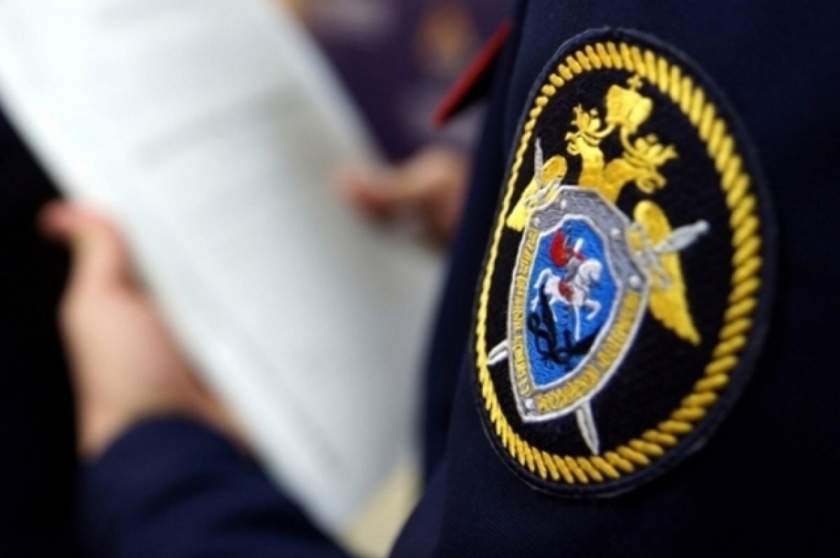    Под Новосибирском мужчина обратился к главе СКР после группового избиения