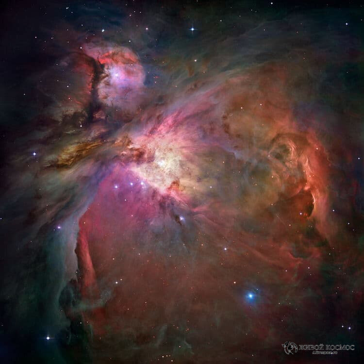      Туманность Ориона. Авторы и права: НАСА, ЕКА, М. Робберто (STScI/ESA) и др.