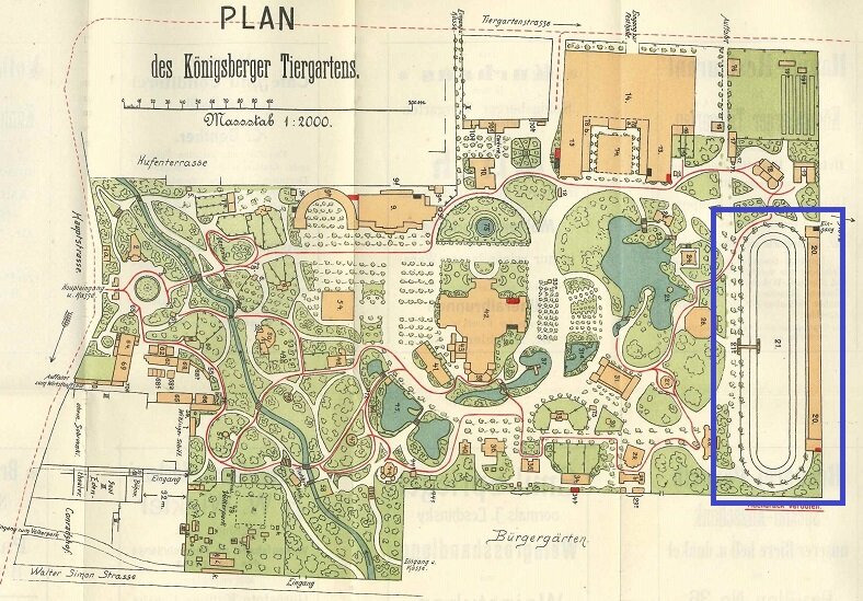 План-схема Кёнигсбергского зоосада из путеводителя начала ХХ века, спорткомплекс выделен рамкой синего цвета / архив зоопарка.