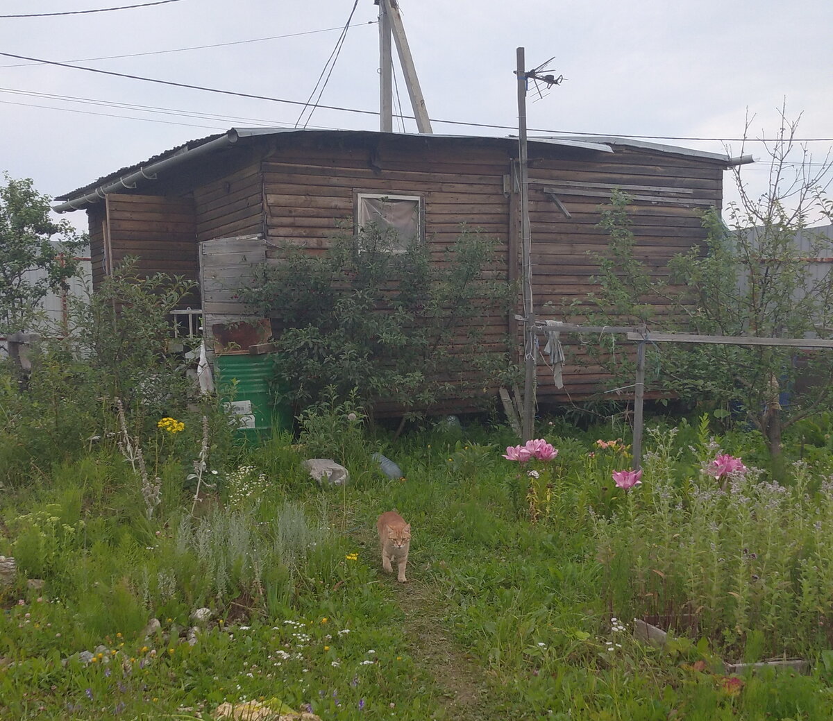 Личное  фото.