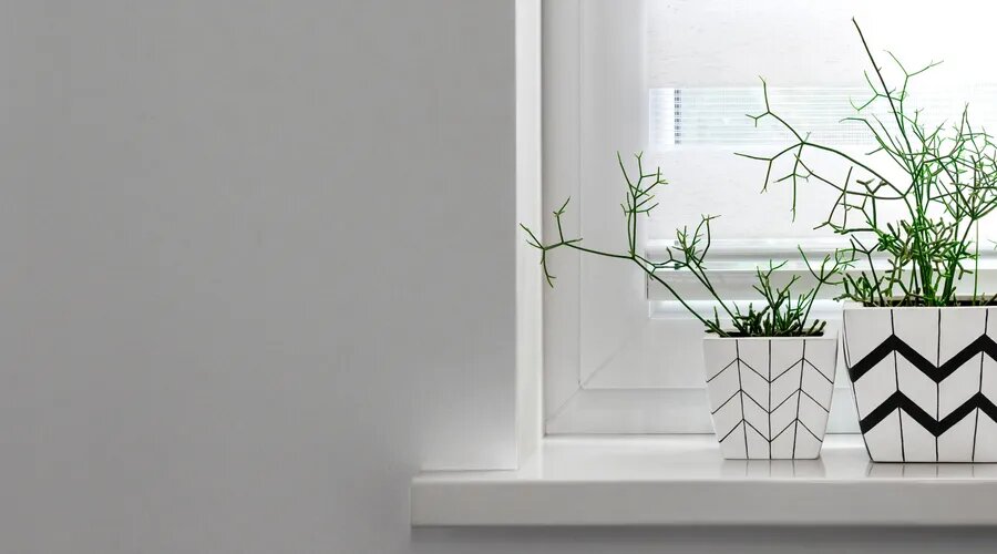 Источник: shutterstock.com