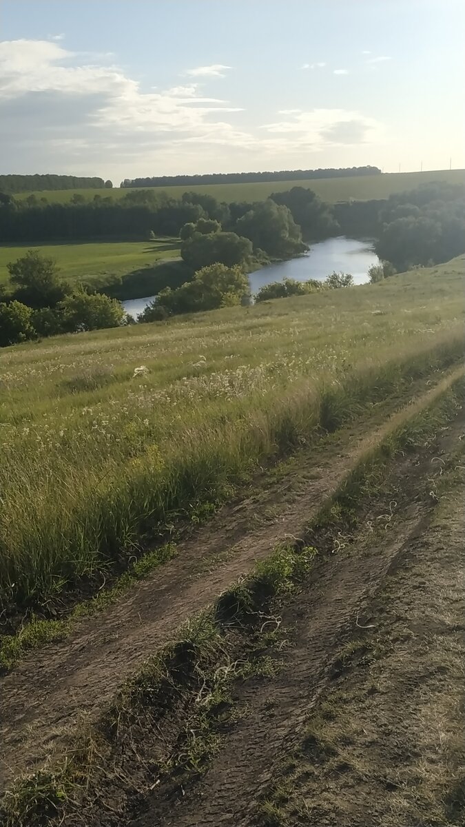 Вид на реку недалеко от города Ефремов (Тульская область) 