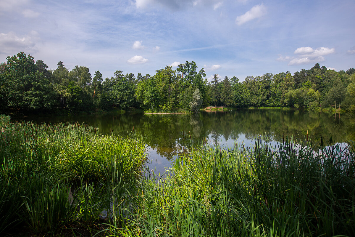 Большой (Нижний, Старомарковский) пруд в парке усадьбы Архангельское-Тюриково. Москва. Фото автора статьи (листайте галерею, ещё 1 фото) 