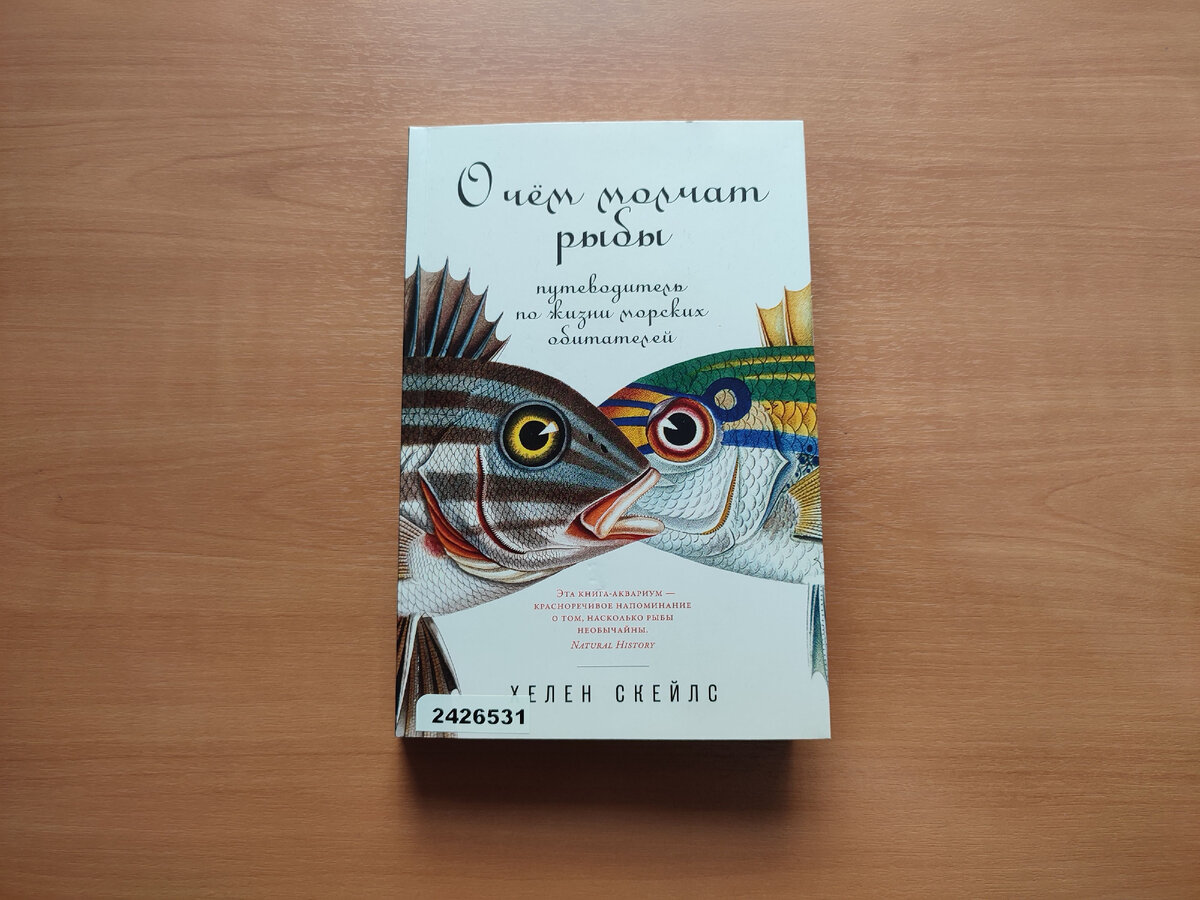 Читаем науч-поп о пользе плавания, угрозах океана и загадочных обитателях  морей | Белинка. О книгах | Дзен